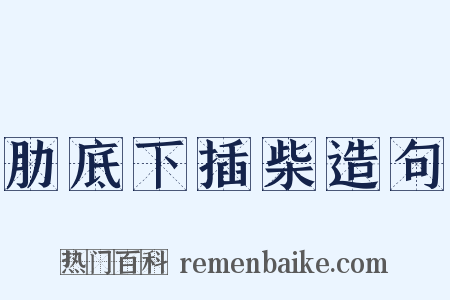 肋底下插柴造句是什么意思的图片